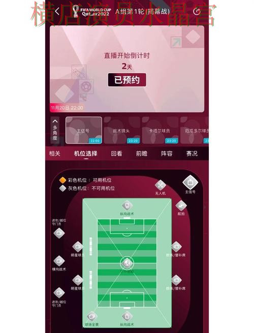 世界杯买球app西班牙比赛数据怎么看更直观